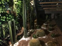 -柒Lounge(三里屯店)