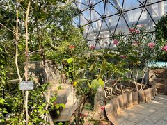 -北京植物园-展览温室