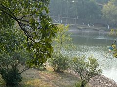 -象山森林公园