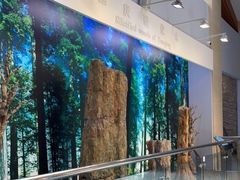 -延庆地质公园博物馆