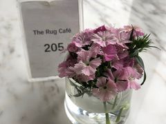 -The Rug Cafe(王府中环店)