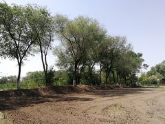 -西青郊野公园