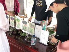 -马陆小张葡萄园农家乐