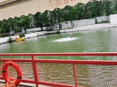 -向外鱼乐·土菜·虹鳟鱼