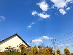 -紫颐香薰山谷景区