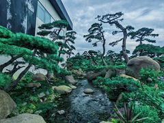 -罗红摄影艺术馆