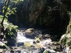 -牛背梁国家森林公园