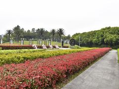 -美兰湖景区
