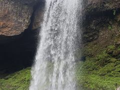 -龙苍沟森林公园