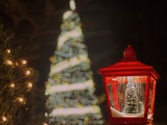 -海南清水湾莱佛士酒店