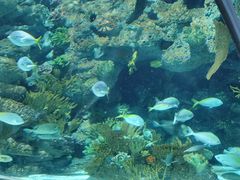 -上海海洋水族馆