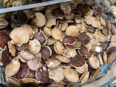 -鑫渔港海鲜本地菜·山海关浑锅(东戴河店)