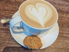 -bluefrog蓝蛙(石家庄欢乐汇店)