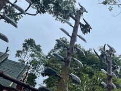 -海南槟榔谷黎苗文化旅游区