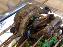 鳝鱼-晓靖轩烧烤(沙河风情店)