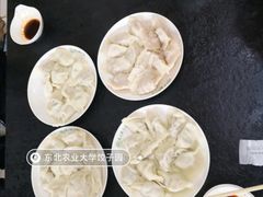 -东北农业大学饺子园