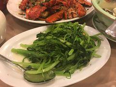 地瓜苗-新港海鲜酒家