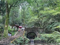 -莫干山风景区