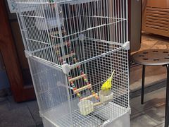-雙冲柳州螺蛳粉&酸嘢&桂林米粉(簋街店)