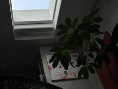 -nodcafe(M50创意园店)