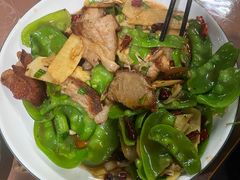 -遇龙河大樟树农家乐