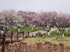 -上海海湾国家森林公园