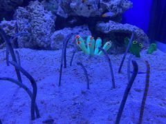 -成都浩海立方海洋公园