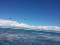 -青海湖国家重点风景名胜区