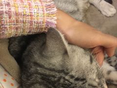 -H立方实景剧情密室(天河旗舰店)