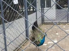 -长白岛森林公园