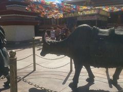 -大同方特欢乐世界