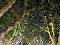 -健康路夜市