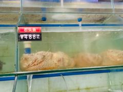 水产区-蓝湾碧波·老字号·疍家非遗海上餐厅