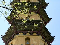 -阿育王寺