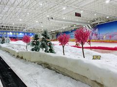 -赤马湖体育滑雪