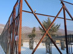 -横道河子东北虎林园