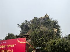 -大槐树寻根祭祖园