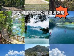 -广州市流溪河国家森林公园