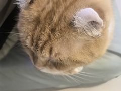 -平行世界·猫咖(首经贸店)