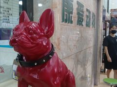 -芭比堂爱心动物医院(柯桥康爱分院)