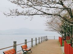 -无锡蠡湖国家湿地公园-蠡园