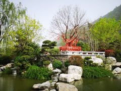 -华清宫景区