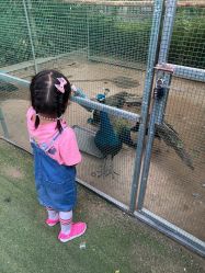 -萌宠亲子动物乐园(槐房万达店)