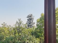 -杭州半山国家森林公园