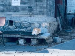 -阳台山自然风景区