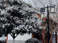 -西安城墙·碑林历史文化景区