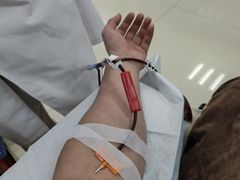 -河北省血液中心-无偿献血科普馆