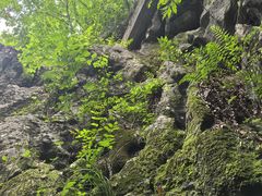 -陶祖圣境风景区