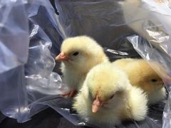 -兴芮温泉度假区