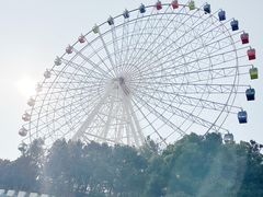 -温州乐园